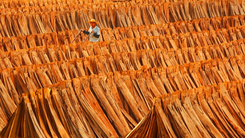 403 - WOODEN SHEETS - CHEN MING-FAT, FAT - hong kong.jpg